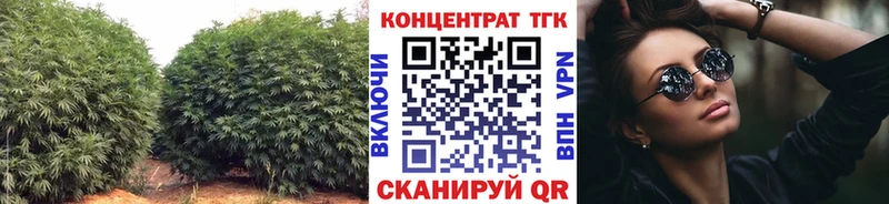 MEGA   Салаир  ТГК гашишное масло  хочу  