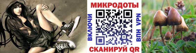 Галлюциногенные грибы Cubensis  Салаир 
